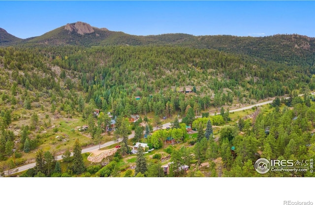 6781 County Road 43, Glen Haven, CO 80532 - photo 5