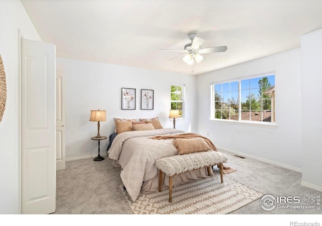 1014 Andrews Peak Dr Unit B107, Fort Collins, CO 80521 - bedroom with carpet floors and baseboards