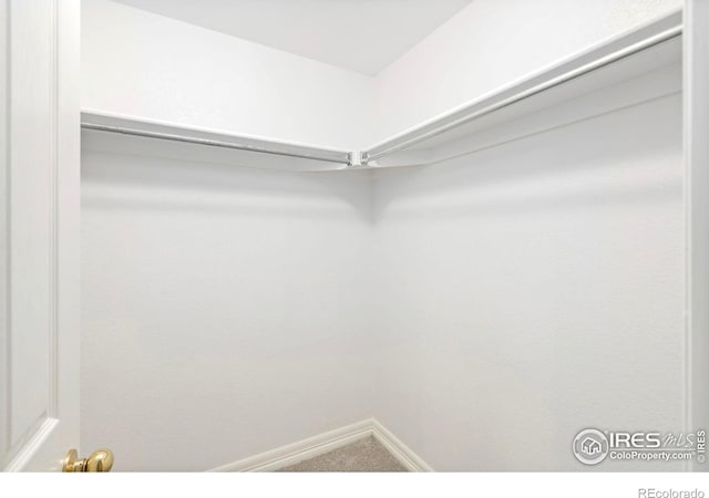 1014 Andrews Peak Dr Unit B107, Fort Collins, CO 80521 - view of spacious closet