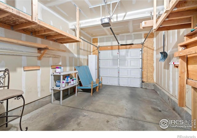1014 Andrews Peak Dr Unit B107, Fort Collins, CO 80521 - garage featuring a garage door opener