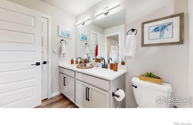 bathroom featuring toilet, double vanity, and wood finished floors