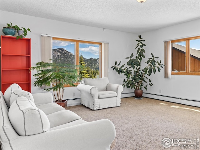739 Larkspur Rd, Estes Park, CO 80517 - photo 6