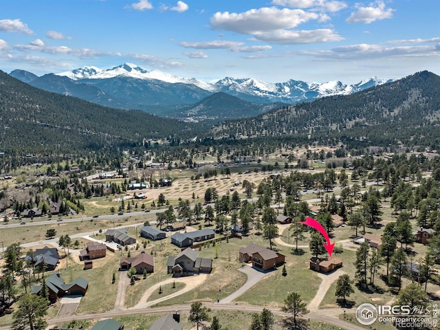 739 Larkspur Rd, Estes Park, CO 80517 - photo 13
