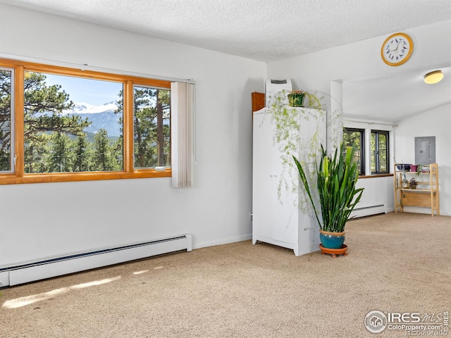 739 Larkspur Rd, Estes Park, CO 80517 - photo 8