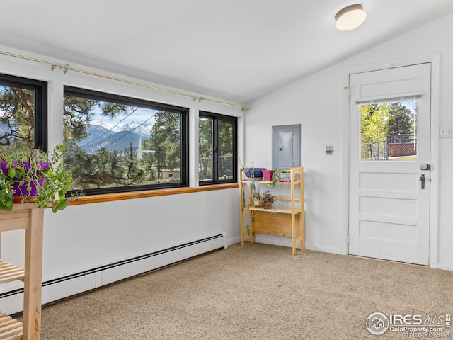 739 Larkspur Rd, Estes Park, CO 80517 - photo 10