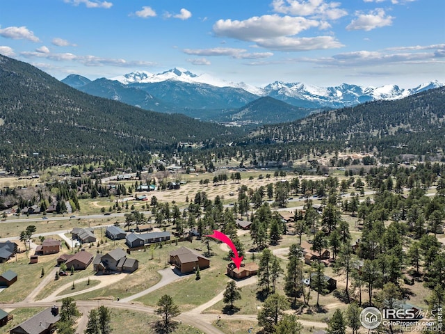 739 Larkspur Rd, Estes Park, CO 80517 - photo 4