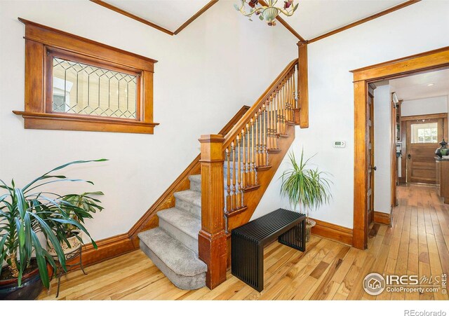 486 N Corona St, Denver, CO 80218 - staircase with baseboards, wood-type flooring, and crown molding