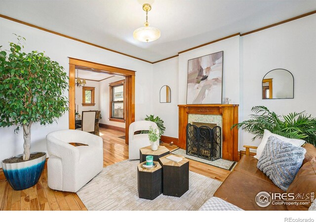486 N Corona St, Denver, CO 80218 - living area featuring wood finished floors, ornamental molding, a fireplace with flush hearth, and baseboards