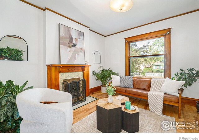 486 N Corona St, Denver, CO 80218 - living area featuring ornamental molding, wood finished floors, a stone fireplace, and baseboards