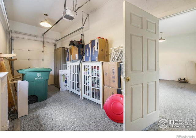 486 N Corona St, Denver, CO 80218 - garage featuring a garage door opener