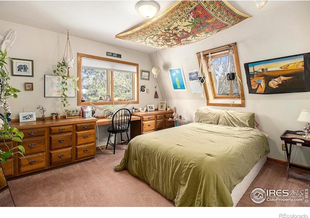 133 Rockledge Cir, Allenspark, CO 80540 - bedroom with light colored carpet and a desk