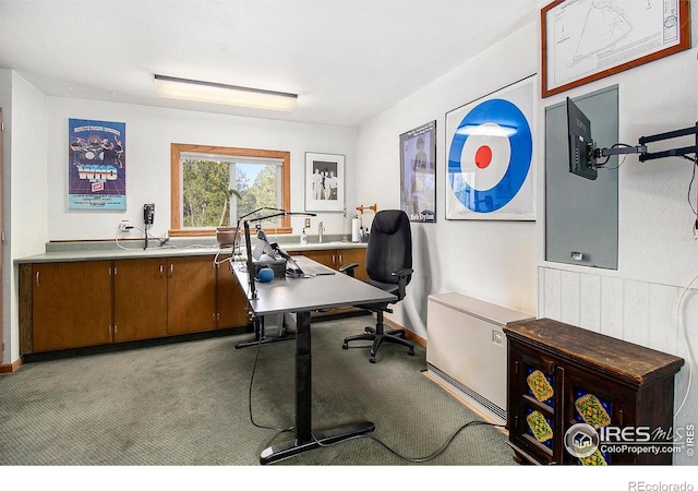 133 Rockledge Cir, Allenspark, CO 80540 - office area with light colored carpet and baseboards
