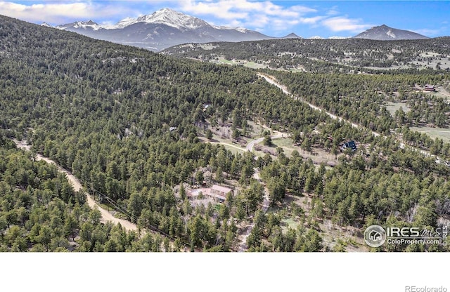133 Rockledge Cir, Allenspark, CO 80540 - view of mountain background with a forest