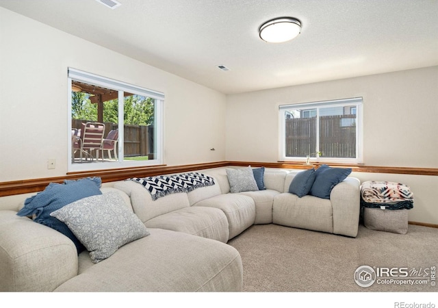 833 Kaitlyn Cir, Loveland, CO 80537 - view of living room