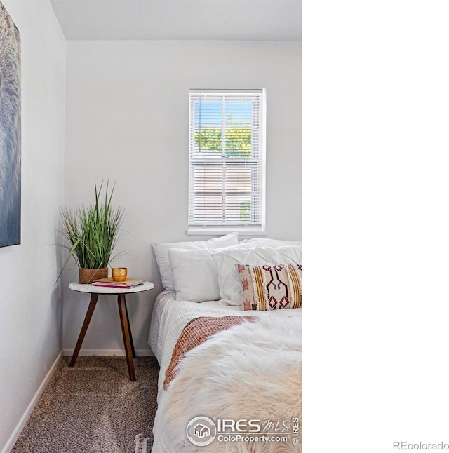 1805 W 22nd St, Loveland, CO 80538 - bedroom with baseboards and carpet
