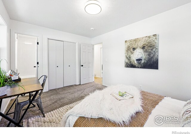 1805 W 22nd St, Loveland, CO 80538 - carpeted bedroom featuring a closet and a desk