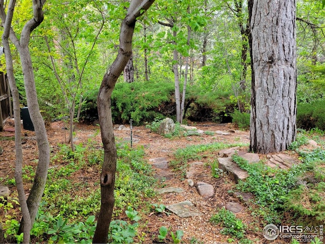 4311 Pali Way, Boulder, CO 80301 - view of local wilderness