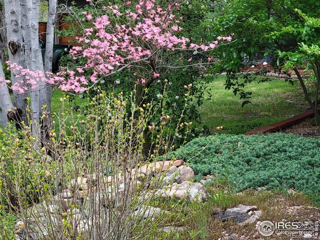 4311 Pali Way, Boulder, CO 80301 - view of undeveloped land