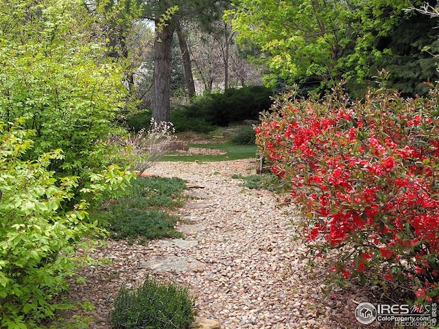 4311 Pali Way, Boulder, CO 80301 - view of yard
