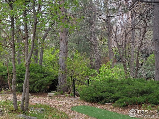 4311 Pali Way, Boulder, CO 80301 - view of yard featuring a forest view