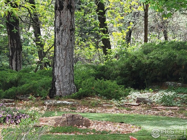 4311 Pali Way, Boulder, CO 80301 - view of yard with a forest view