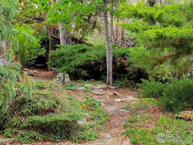 4311 Pali Way, Boulder, CO 80301 - view of local wilderness