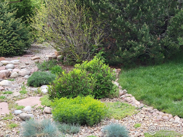 4311 Pali Way, Boulder, CO 80301 - view of yard