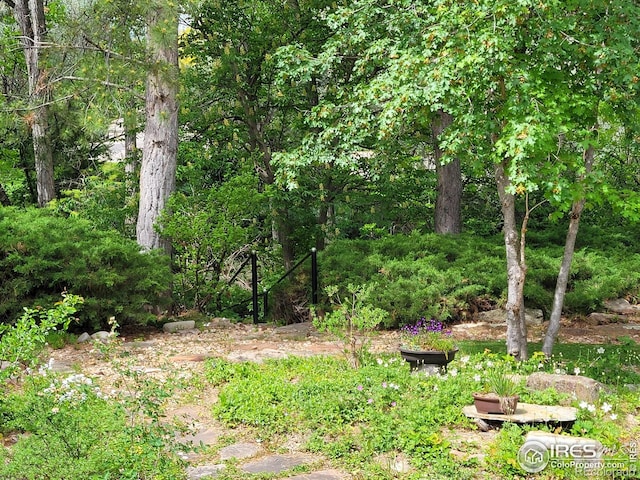 4311 Pali Way, Boulder, CO 80301 - view of yard