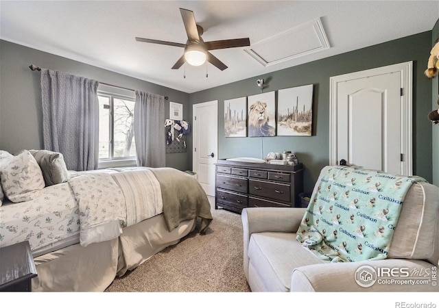 6212 Saddleback Ave, Firestone, CO 80504 - photo 25