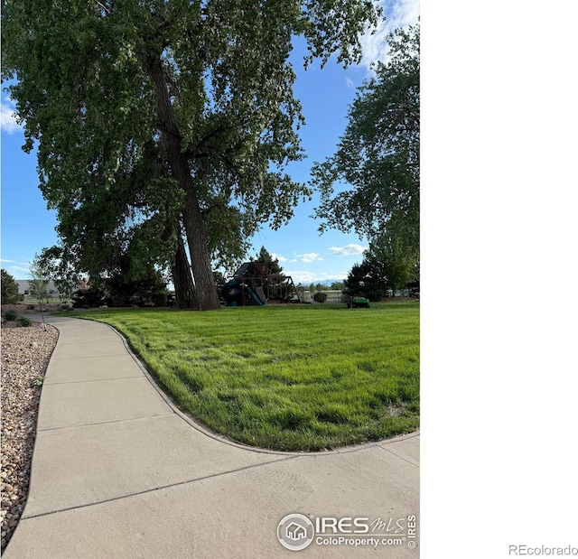 6212 Saddleback Ave, Firestone, CO 80504 - photo 37