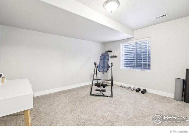 1471 Sabin Ct, Berthoud, CO 80513 - workout area with carpet flooring and baseboards