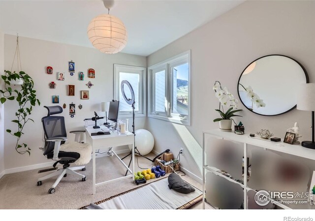 1149 Quince Ave, Boulder, CO 80304 - carpeted office space featuring baseboards