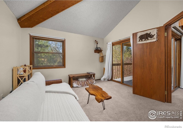 2962 Shadow Creek Dr # 308, Boulder, CO 80303 - carpeted bedroom featuring access to outside, a textured ceiling, multiple windows, and lofted ceiling