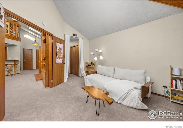 2962 Shadow Creek Dr # 308, Boulder, CO 80303 - living area featuring vaulted ceiling and carpet floors
