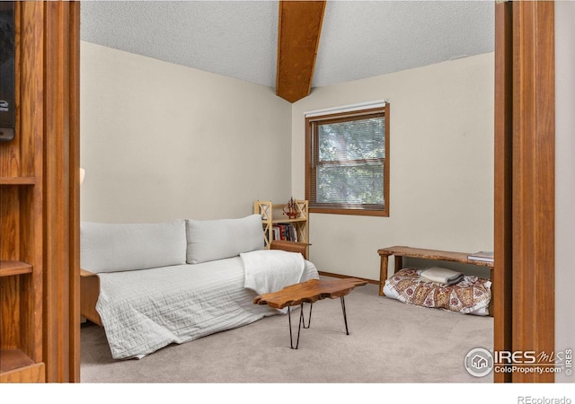 2962 Shadow Creek Dr # 308, Boulder, CO 80303 - carpeted living room featuring a textured ceiling