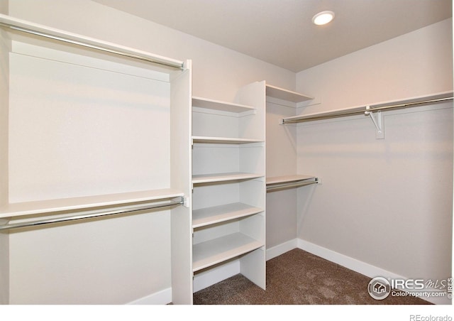 walk in closet with dark colored carpet