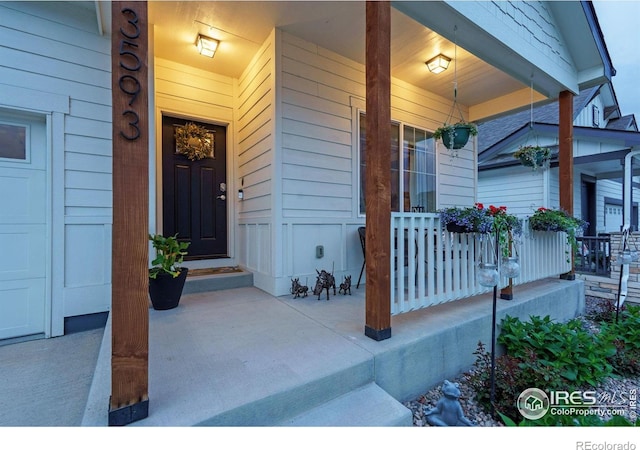 3593 Taylor Walker St, Loveland, CO 80537 - doorway to property featuring covered porch