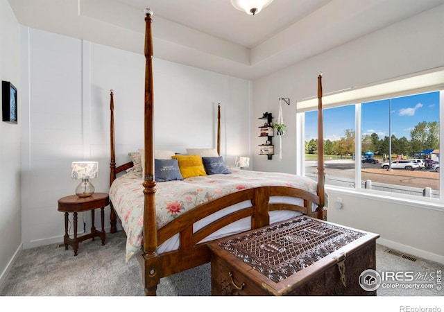 3593 Taylor Walker St, Loveland, CO 80537 - carpeted bedroom with baseboards and a tray ceiling