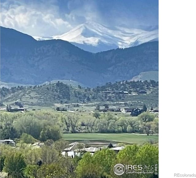 3593 Taylor Walker St, Loveland, CO 80537 - photo 30