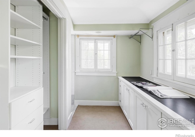 2424 4th St, Boulder, CO 80304 - spacious closet featuring light colored carpet