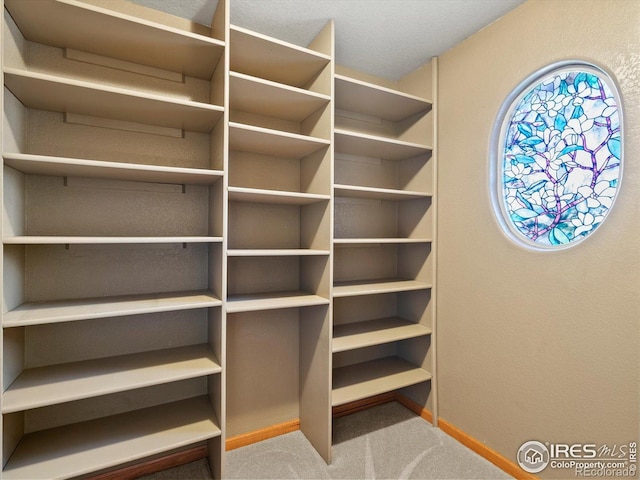 spacious closet with carpet