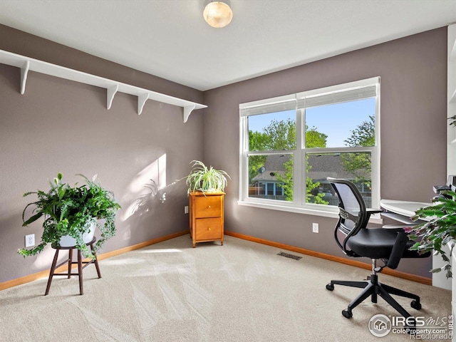 office space featuring baseboards and carpet flooring