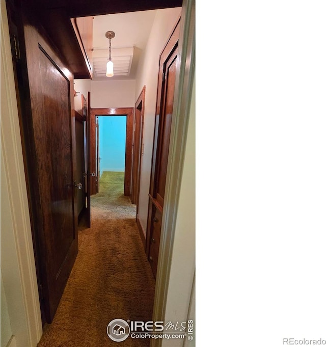 corridor featuring carpet flooring