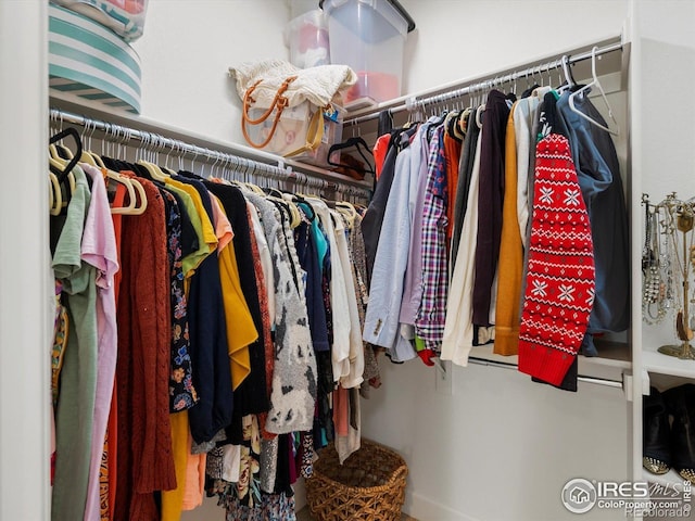 950 Sumner Way, Erie, CO 80516 - view of walk in closet