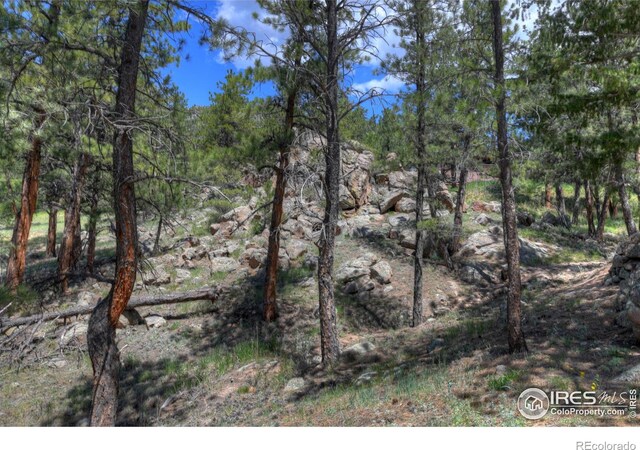 40 Hopi Ct, Lyons, CO 80540 - view of wooded area