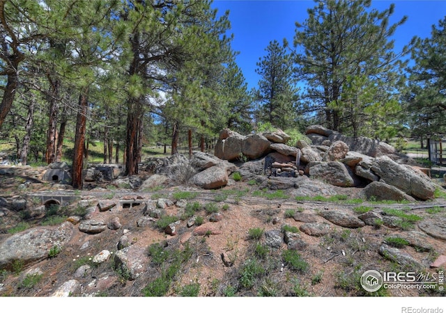 40 Hopi Ct, Lyons, CO 80540 - view of nature