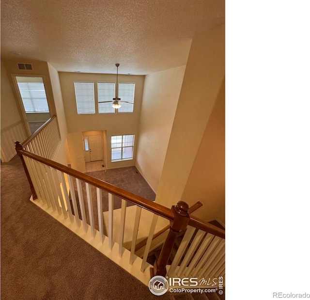 6608 W 3rd St Unit 35-58, Greeley, CO 80634 - staircase featuring carpet flooring, a textured ceiling, and ceiling fan