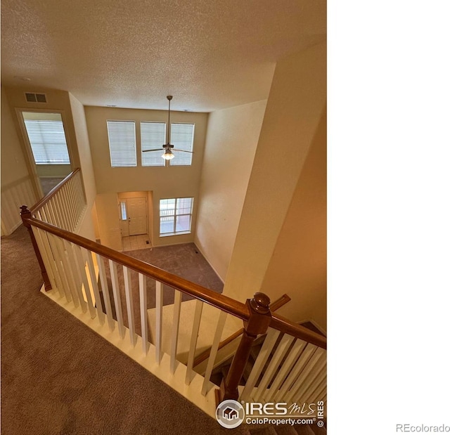 6608 W 3rd St Unit 35-58, Greeley, CO 80634 - stairs with carpet, a textured ceiling, and a ceiling fan