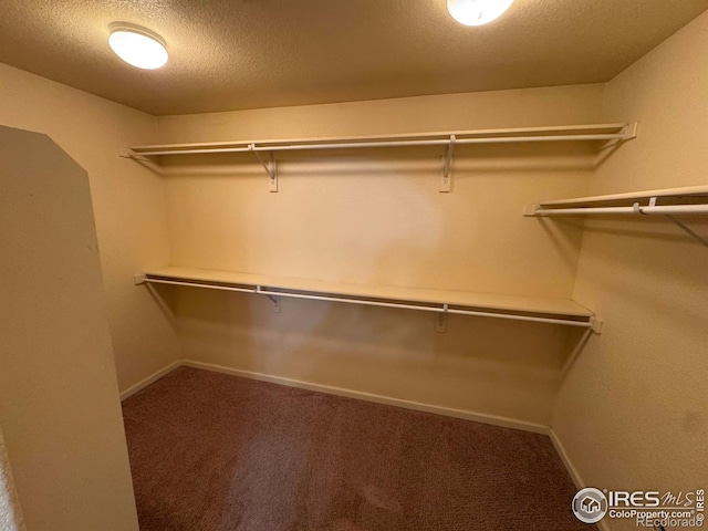 6608 W 3rd St Unit 35-58, Greeley, CO 80634 - spacious closet with carpet flooring