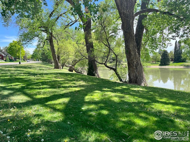 view of grassy yard featuring a water view